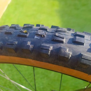 Orbea Wild H-10 2024