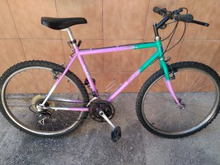 Bicicleta de Montaña STAR
