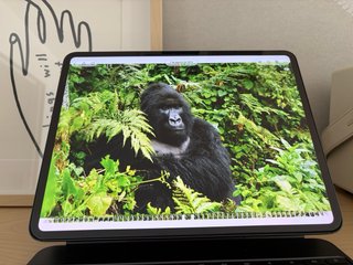 iPad Pro 13 M4 Plata