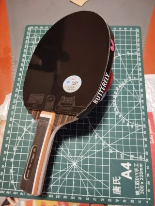 Pala raqueta de Ping Pong