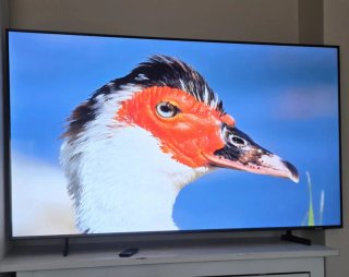 TV Samsung Neo QLED 4K 55