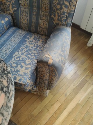 Conjunto de sofás y sillón tapizado