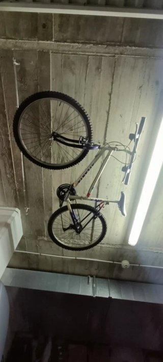 Bicicleta Atlanta