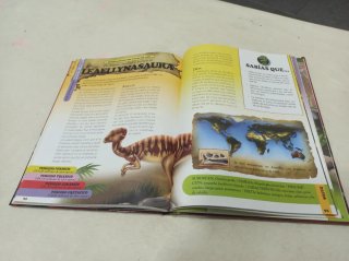 Enciclopedia de los dinosaurios.