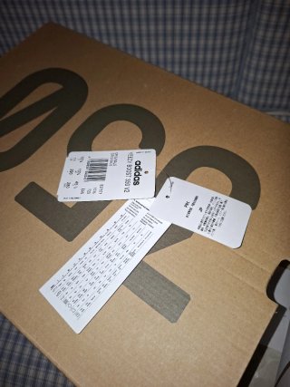 Adidas Yeezy Boost 350 V2 blutints