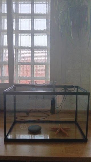 Pecera 45L con filtro, tierra y servidor de comida