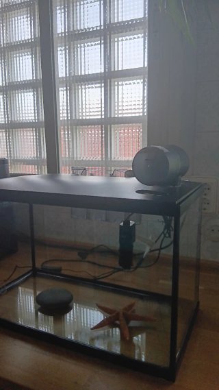 Pecera 45L con filtro, tierra y servidor de comida
