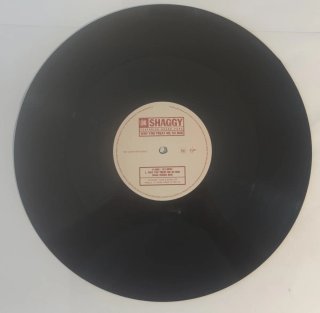 Shaggy - Why You Treat Me So Bad 12 Vinile