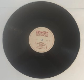 Shaggy - Why You Treat Me So Bad 12 Vinile