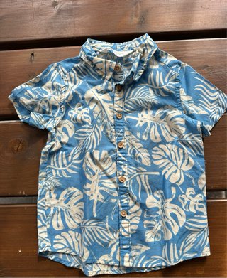 Lote 2 bañadores, 4 shorts niño y una camisa