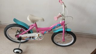 Bicicleta per Bambina Viola con Ruote da 14 Pollici