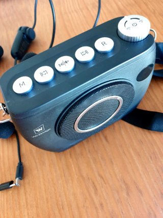Altavoz WinBridge S96 Bluetooth + 2 Micrófonos