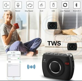 Altavoz WinBridge S96 Bluetooth + 2 Micrófonos