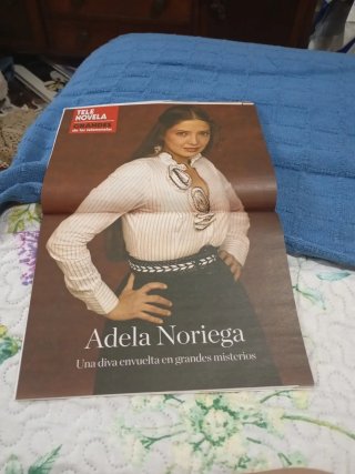 Revista telenovela 1631 completa