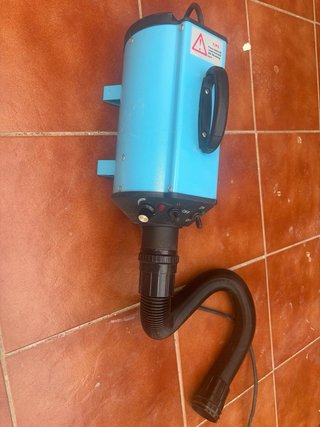 Secador Canino Profesional Azul