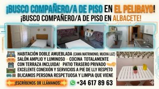 Se busca compañero de piso