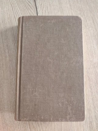 Libro El pájaro espino 1978