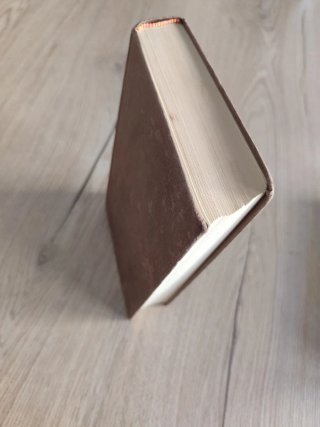 Libro El pájaro espino 1978