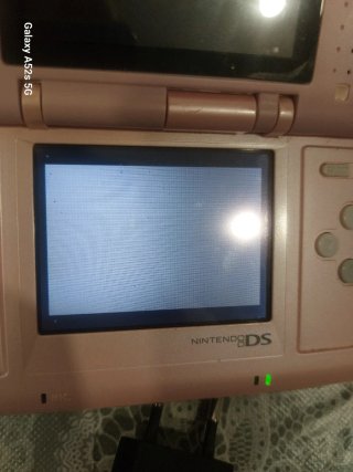 Nintendo DS Fat Rosa + Cargador