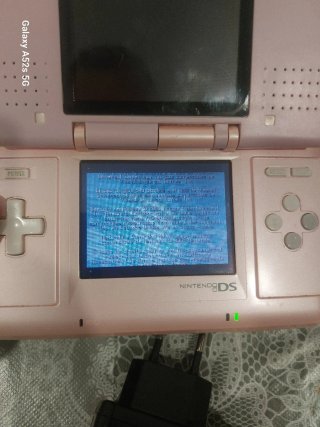 Nintendo DS Fat Rosa + Cargador