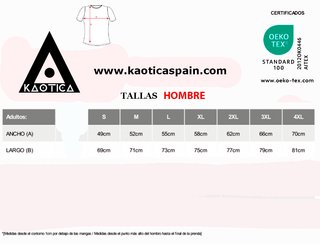 Camiseta Linking Park 421  Musica Hombre