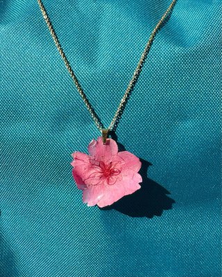 Collar