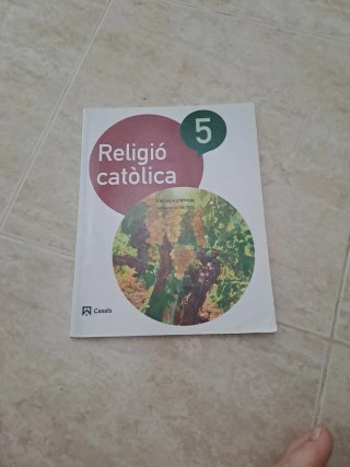 Religió catòlica, 5 Educació Primària