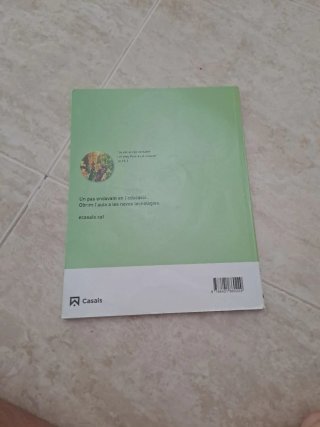 Religió catòlica, 5 Educació Primària