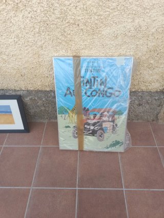 Cuadro Tintín en el Congo