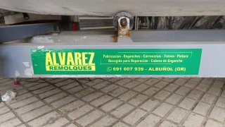 Barco Taylor 401 con remolque