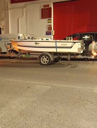 Barco Taylor 401 con remolque