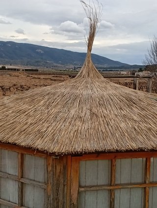 Ombrelloni e pergole in vimini e erica