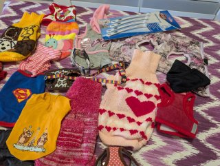 Ropita y accesorios para mascotas