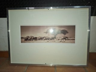 Cuadro moderno elefantes sabana