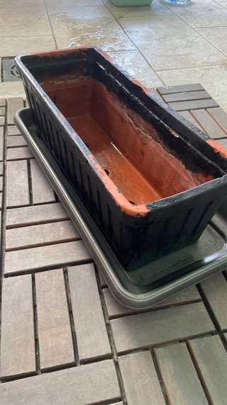 Jardinera terracota con plato negro