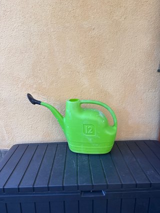 Regadera verde 12 litros