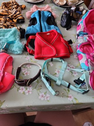 Ropa para perros pequeños
