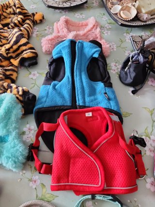 Ropa para perros pequeños