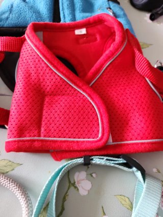 Ropa para perros pequeños