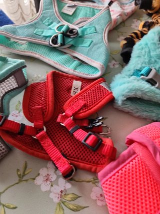 Ropa para perros pequeños