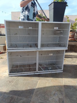 Jaula de pájaros