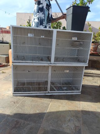 Jaula de pájaros