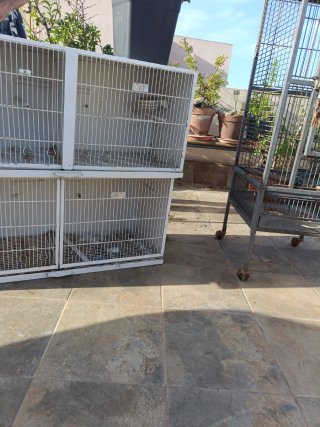 Jaula de pájaros
