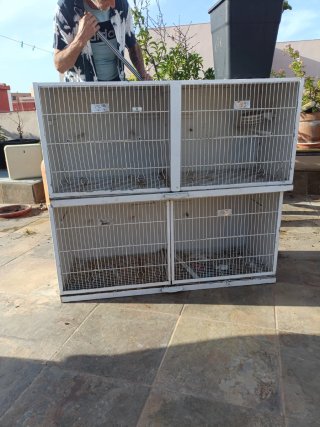 Jaula de pájaros