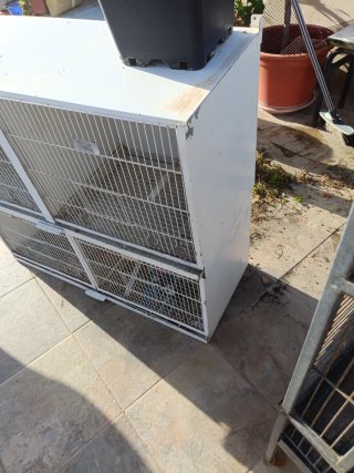 Jaula de pájaros