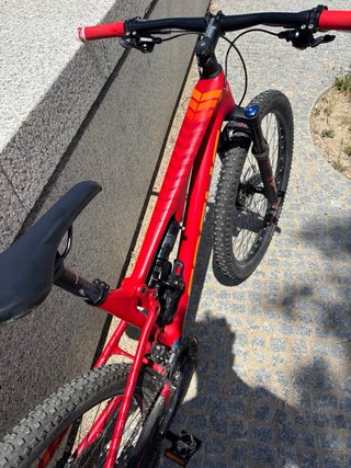 Focus Spine Carbono MTB
