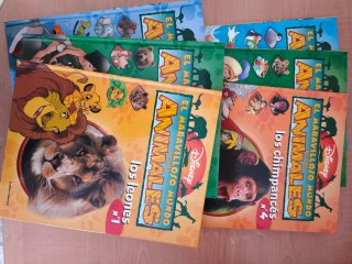 Collezione Disney Animali Selvatici (6 libri)