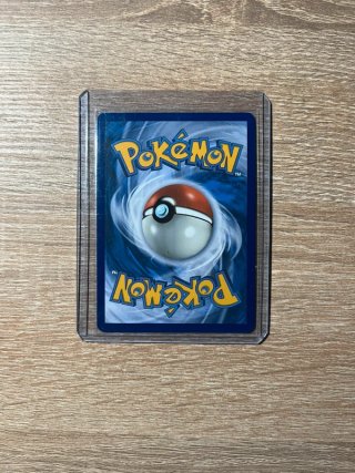 Carta Pokémon Dragonite EX 290/217