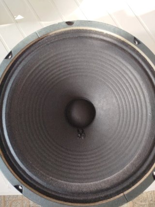Altavoz Jensen Green Top Brunetti 16 ohm