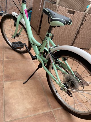 Bici niña 20 mint con ruedines